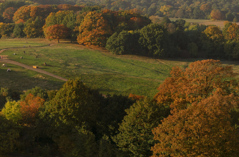 Aerial 360 Gigapixel: Hampstead Heath Autumn